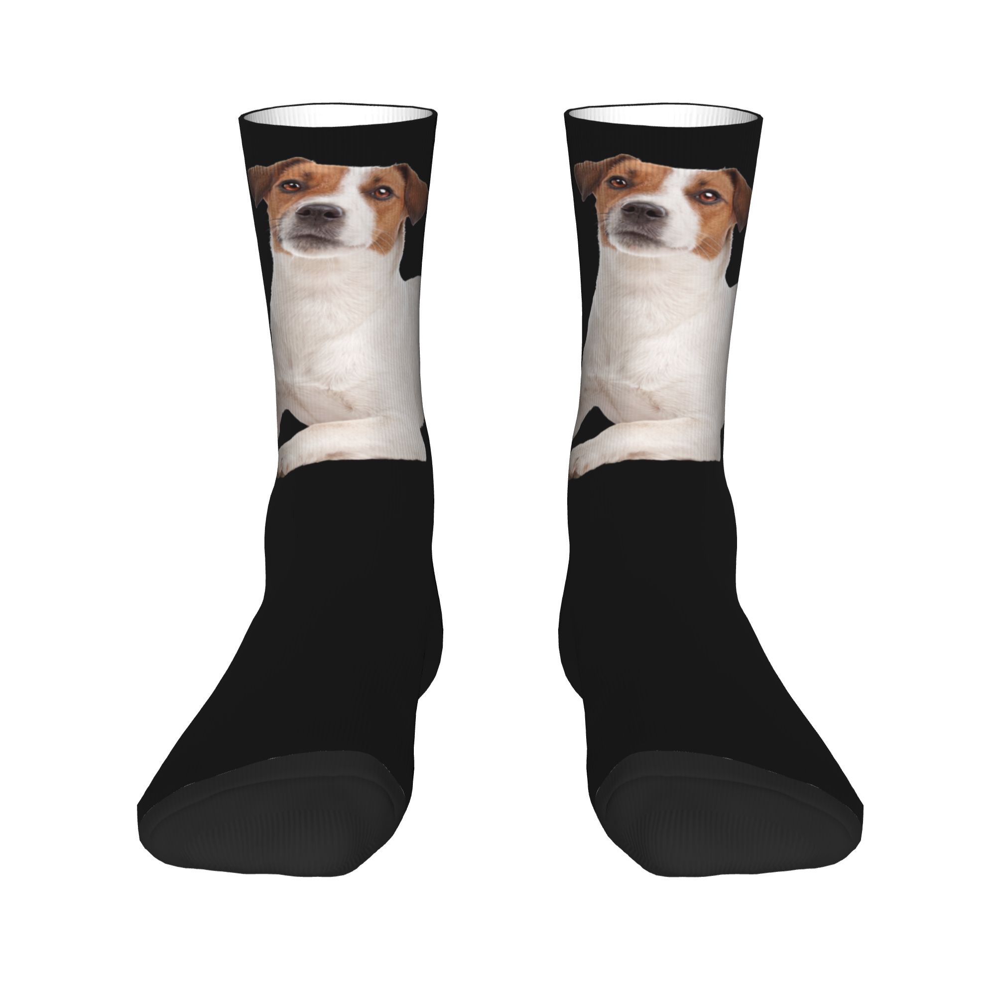 Custom Jack Russell Terrier Do - огляд і ціна Dress Sock Men