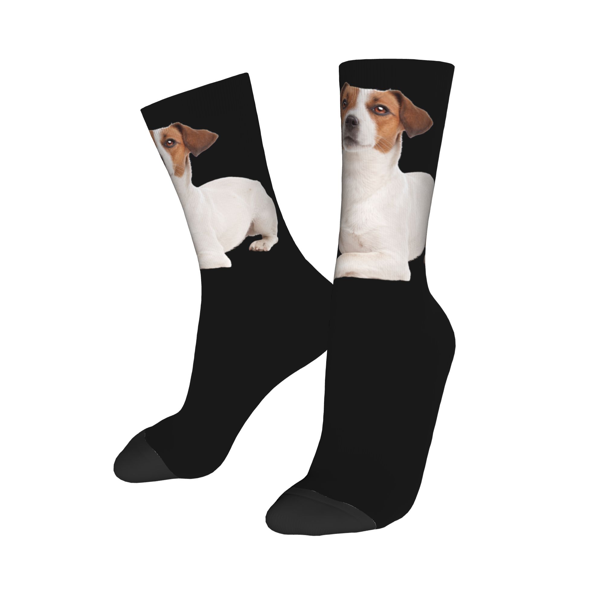 Custom Jack Russell Terrier Do - огляд і ціна Dress Sock Men